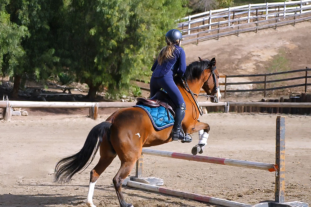 Stacy Lilien jumping with her mustang