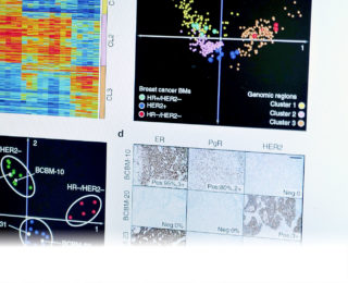 Breast Team Epigenetics - Margie Petersen Breast Center