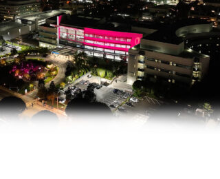Breast Lighting event - Margie Petersen Breast Center
