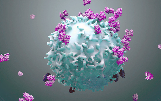 Immunotherapy - attacking cancer cell
