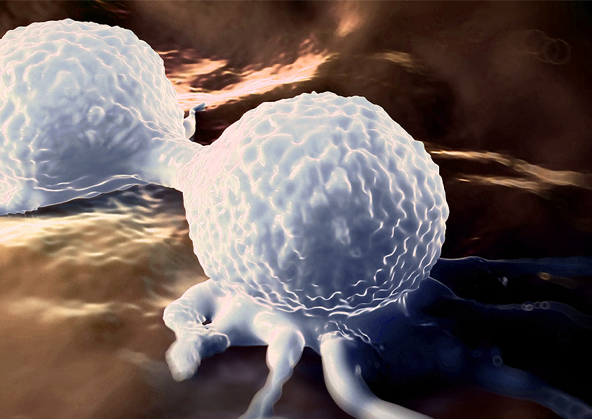 Targeted therapy model - GI and liver cancers