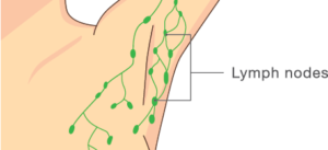 Diagram of lymph nodes under the armpit