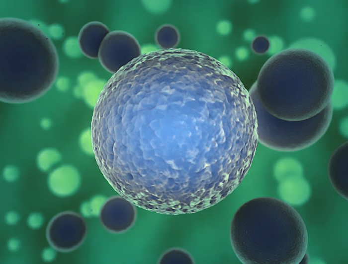 Targeted therapy for melanoma