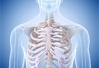Chest Wall Image