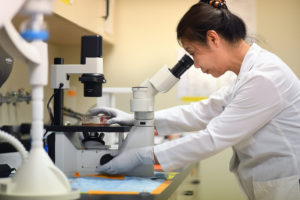 Doctor looking through microscope
