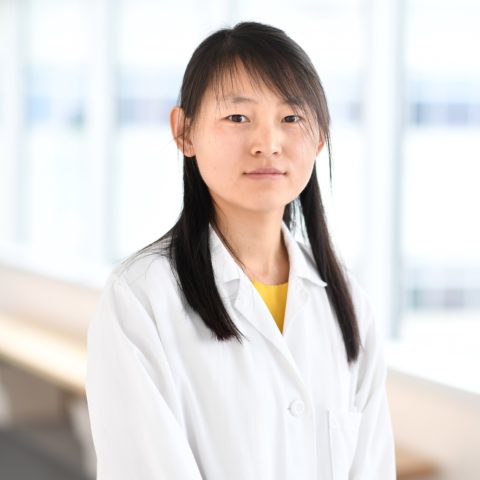 Xiaoquing Zhang, Ph.D.