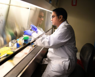 Doctor testing specimens in a controlled environment