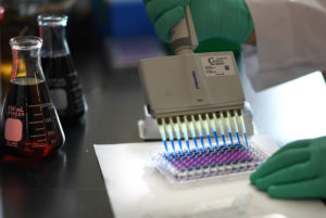 Gloved hands of JWCI researcher working