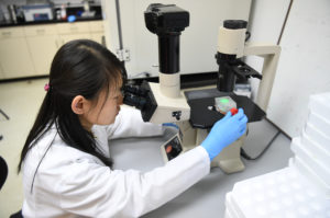 Translational Molecular Medicine researcher looking into microscope