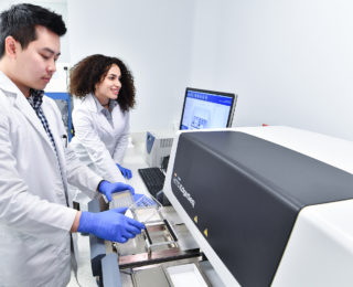 Translational Molecular Medicine researchers working beside one another