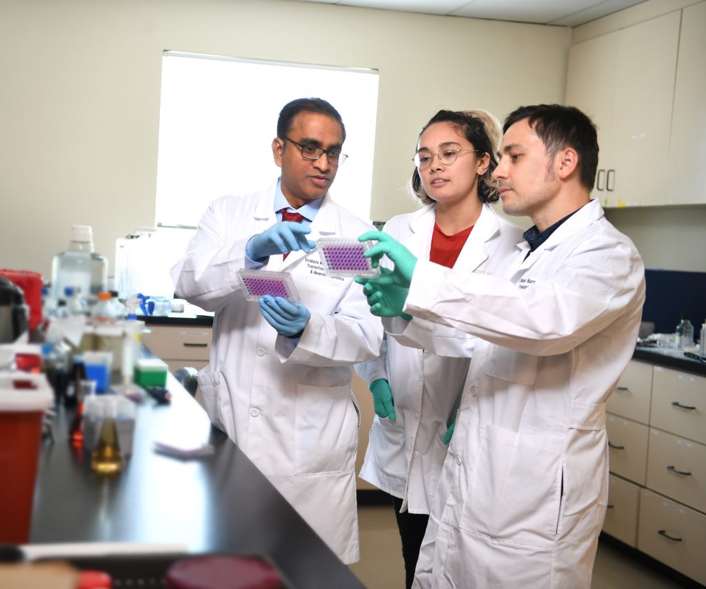 Team working together in drug discovery and nanomedicines