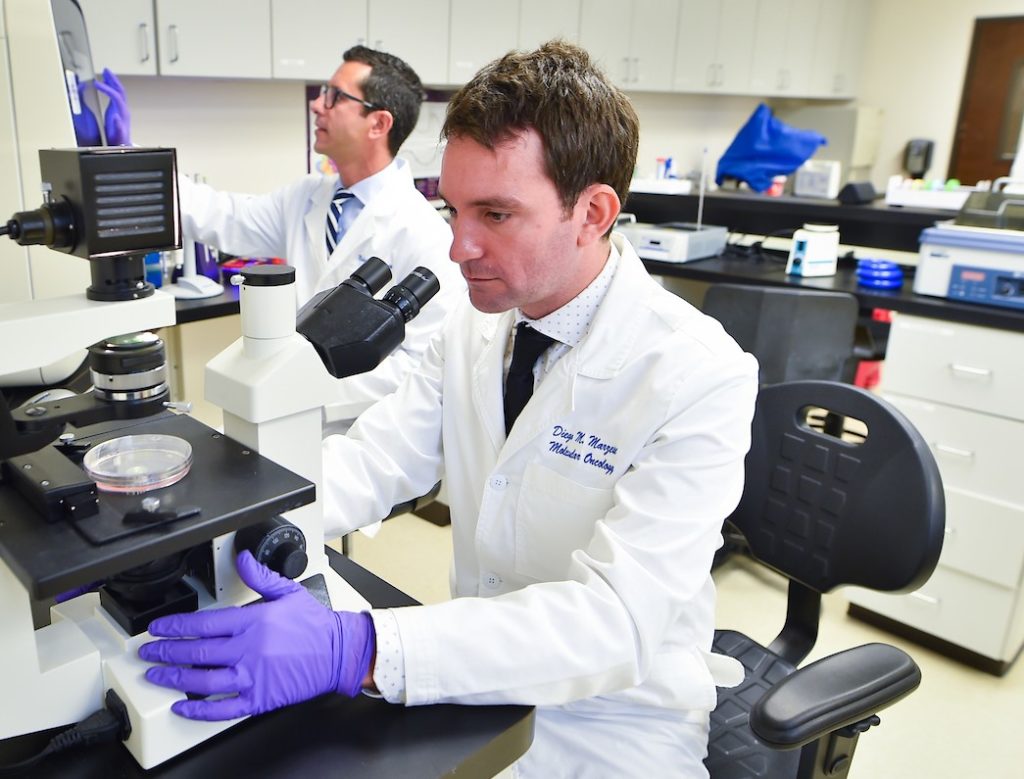 Researchers working in the cancer epigenetics lab