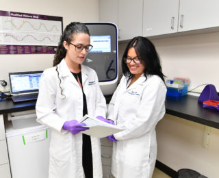 Research scientists collaborating at the Cancer Epigenetics Lab at JWCI