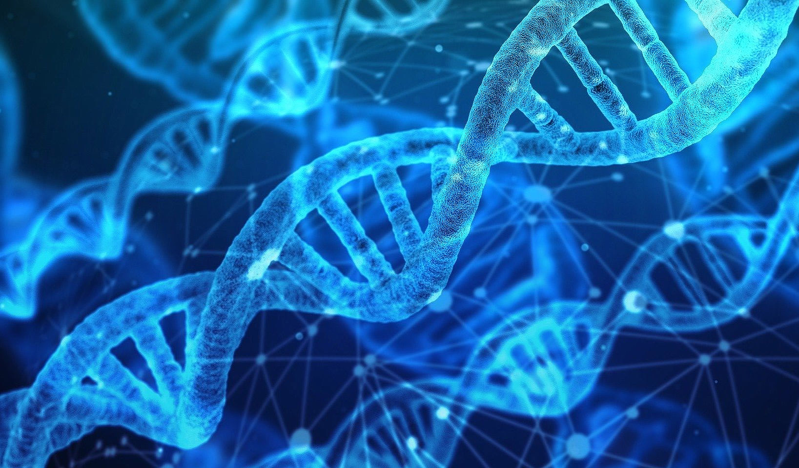 SJCI computational biology