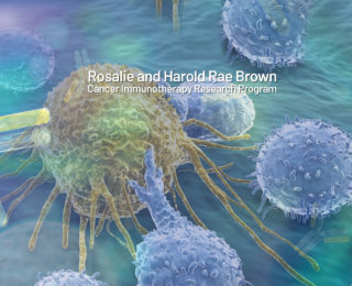 Rosalie and Harold Rae Brown Cancer Immunotherapy Research Program