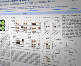 Tripple Negative Translational Header - Saint John's Cancer Institute