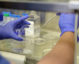 Translational Research Departments - Saint John's Cancer Institute