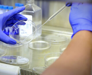 Precision-medicine-lab-services-saint-johns-cancer-institute