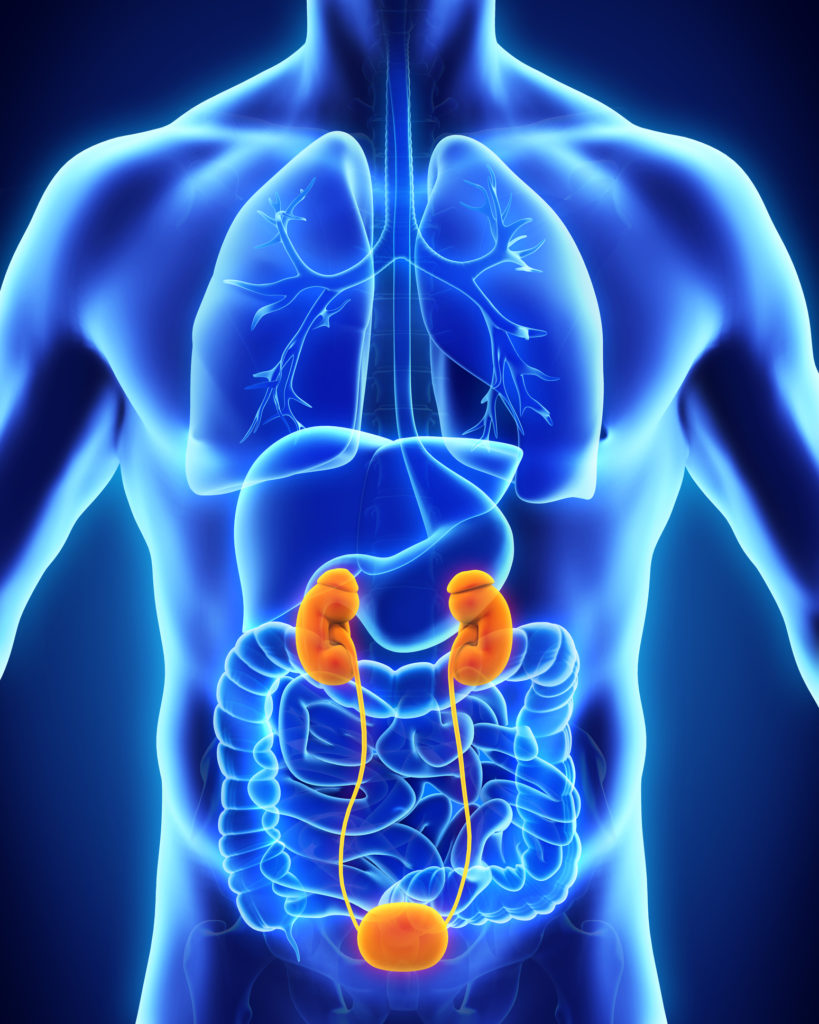 Voiding Dysfunction Causes, Symptoms, and Prognosis Saint John’s