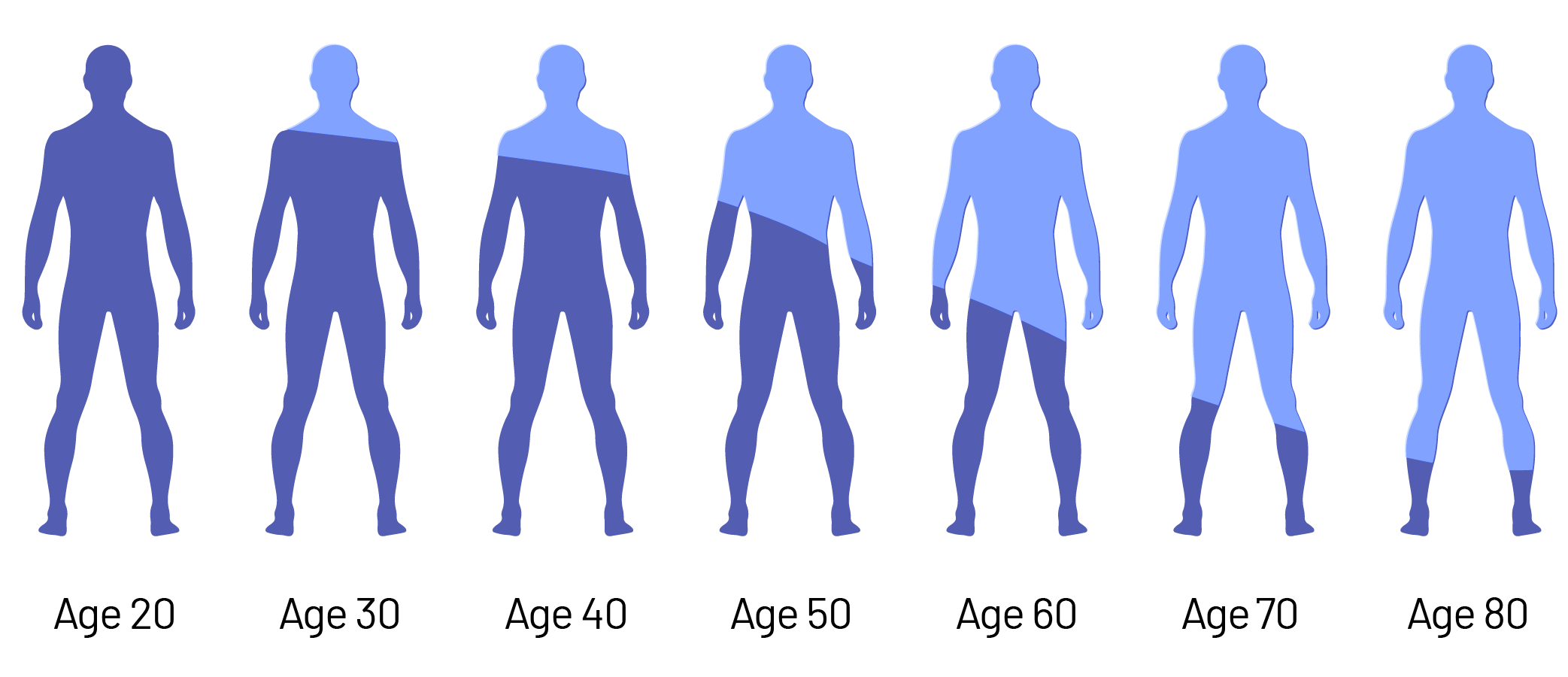 Aging - testosterone levels