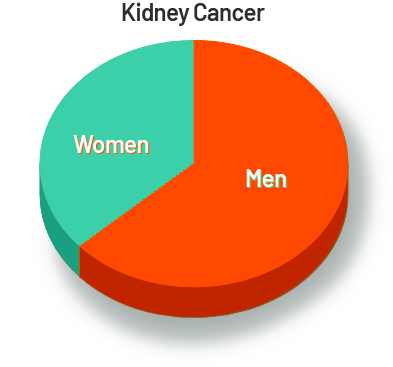 kidney cancer ratio - men to women 2022