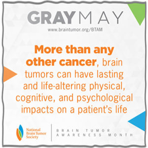 Gray May Brain Facts - More than 