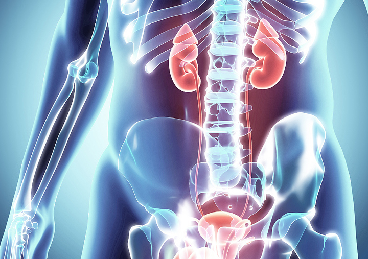 urologic cancers and conditions