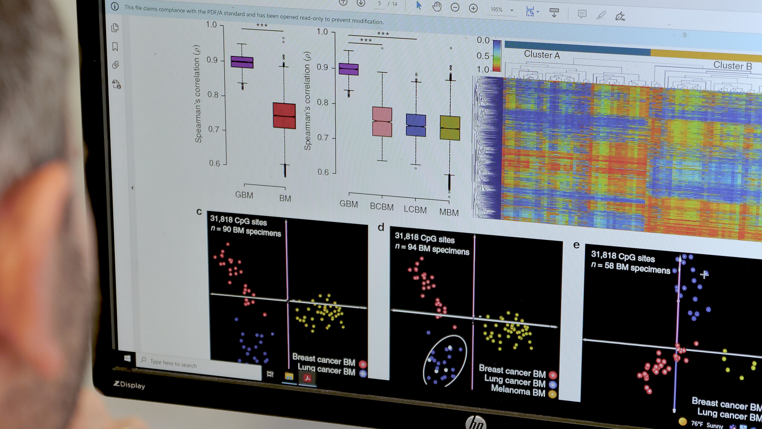 Molecular & Translational Analysis